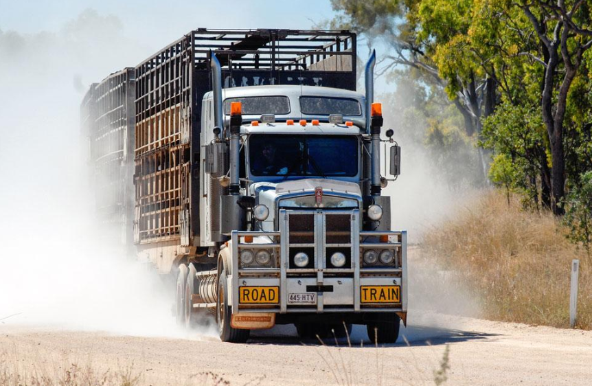 Kenworth road train carrying livestock on a dusty rural road